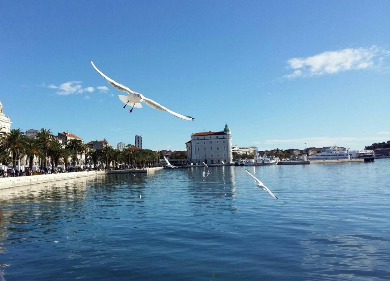 Apartmán Oli Split